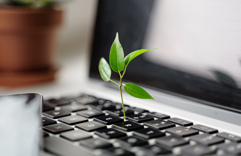 Small steps you can take to make your workplace greener.